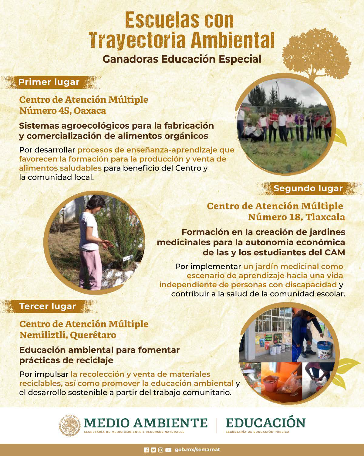 Imagen PECC